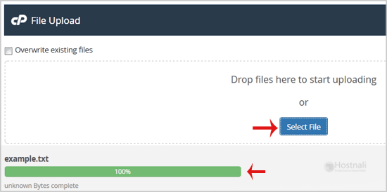 How to upload files via the cPanel FileManager? - brows filemanager