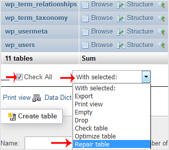 How to Repair database via phpMyAdmin in cPanel? - repair db